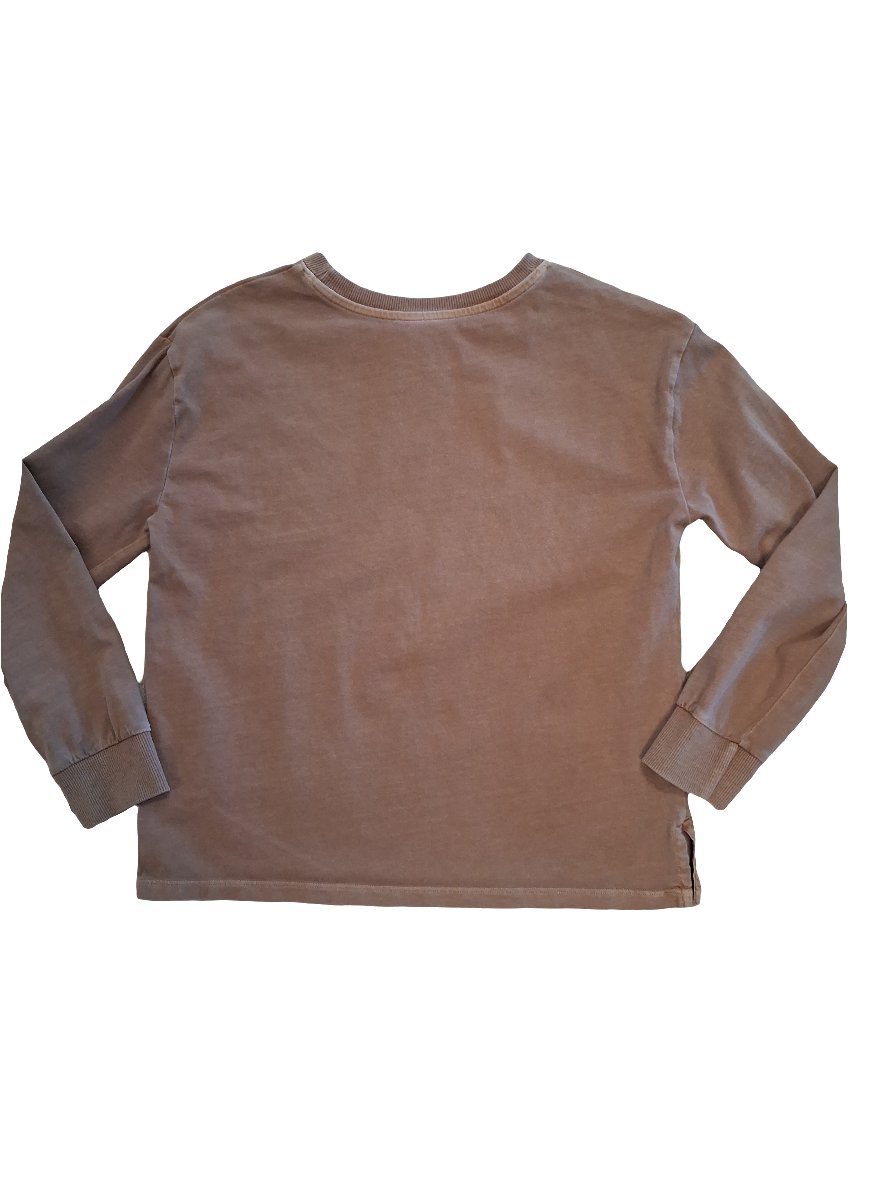 Little Co. size 7 apple picking top